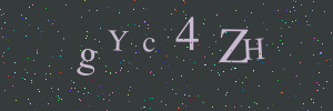 Validation image